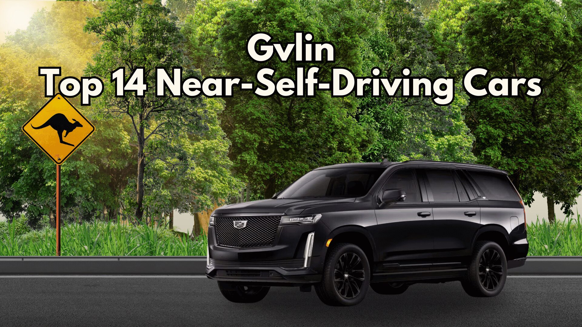 Top 14 Near-Self-Driving Cars - Gvlin